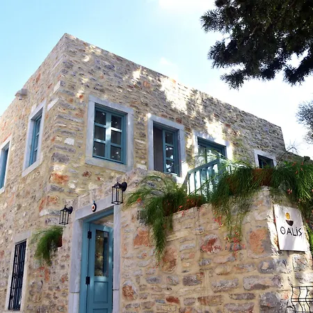 Oalis Boutique Pensiune 4*