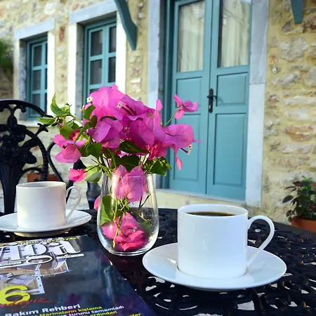 Oalis Boutique Pensionat Bodrum